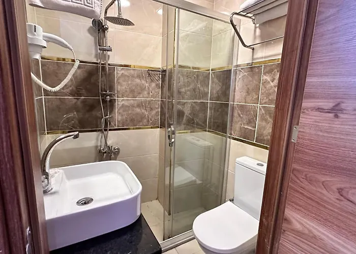 酒店 La Vien Old 3*