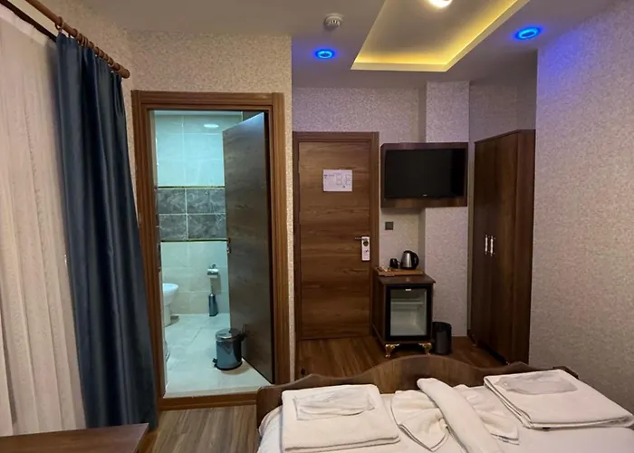 La Vien Old 3* 伊斯坦布尔