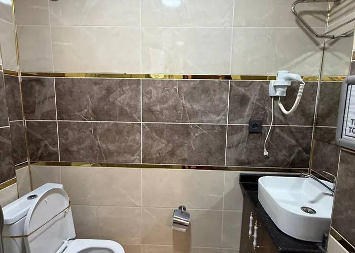 酒店 La Vien Old 3*