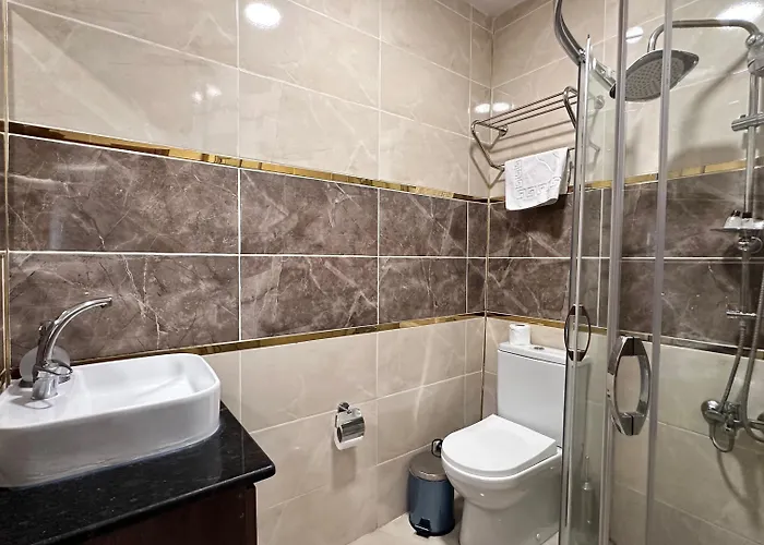 酒店 La Vien Old 伊斯坦布尔